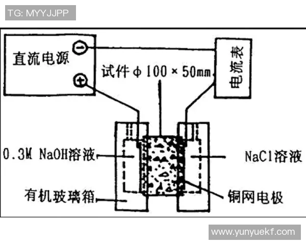 重庆羽毛球队边路渗透战术分析及其对比赛结果的影响探讨 重庆羽毛球队边路渗透战术分析及其对比赛结果的影响探讨