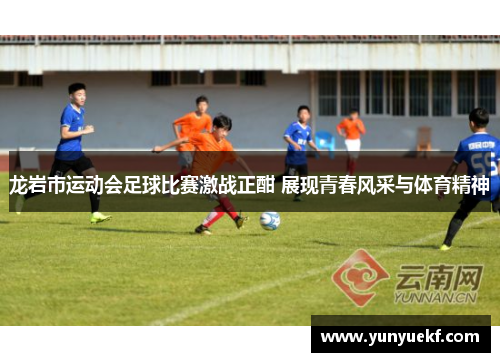 龙岩市运动会足球比赛激战正酣 展现青春风采与体育精神