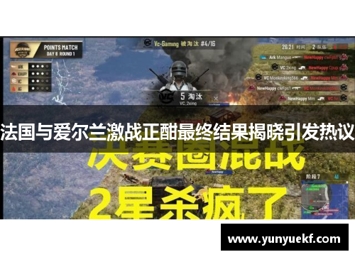 法国与爱尔兰激战正酣最终结果揭晓引发热议